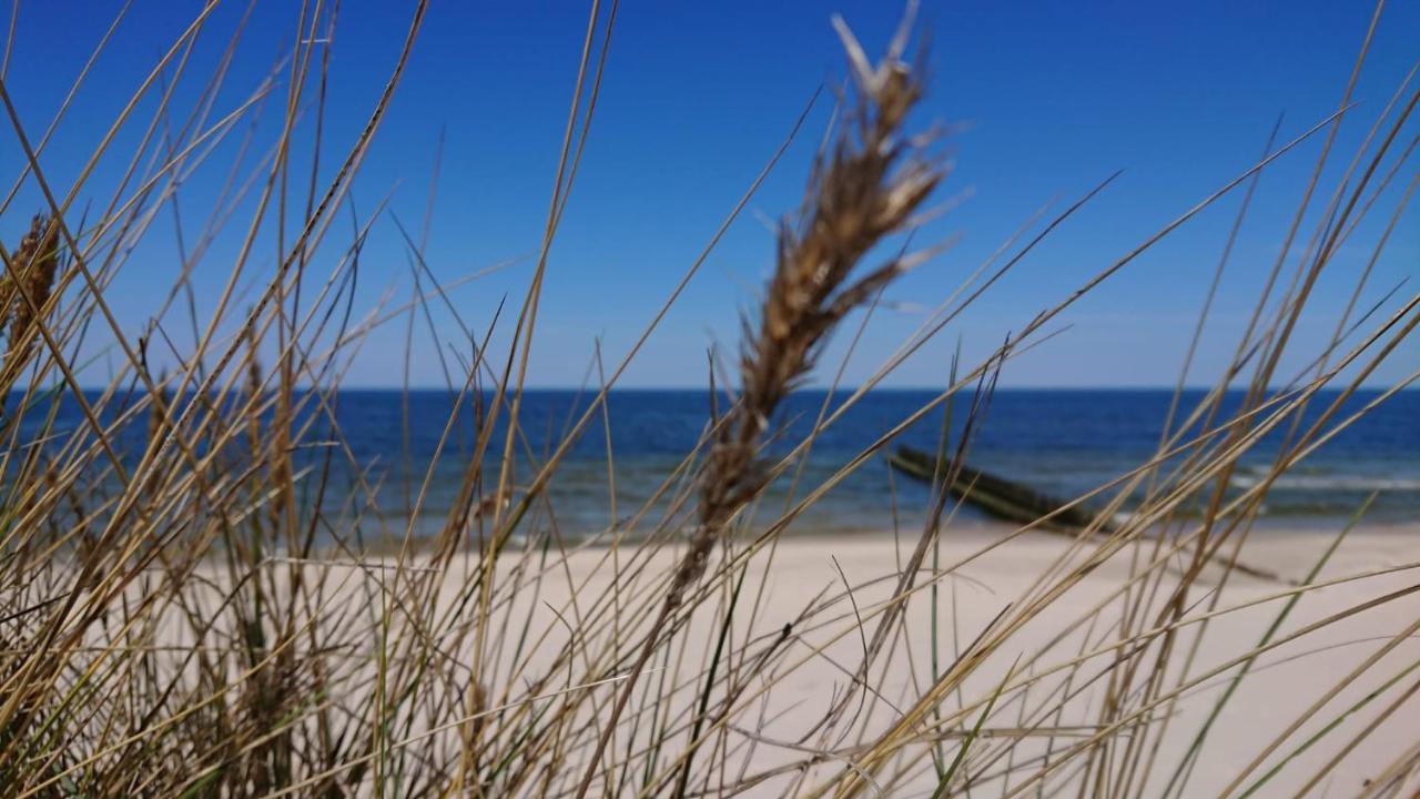 Duneshellter Rogowo Rogowo  Esterno foto